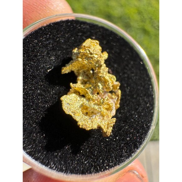 California Native Gold Crystal - 1.21 grams - Picture 6 of 6